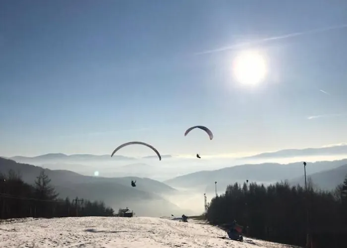 Odlot * מידז'יברודז'י ז'יוויקי